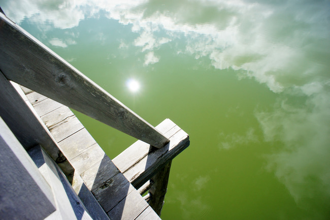 20170723_15-27-46_DSC07956