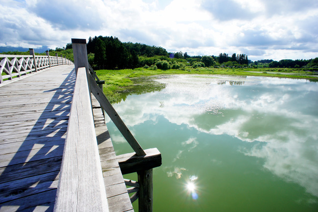 20170723_15-29-08_DSC07972