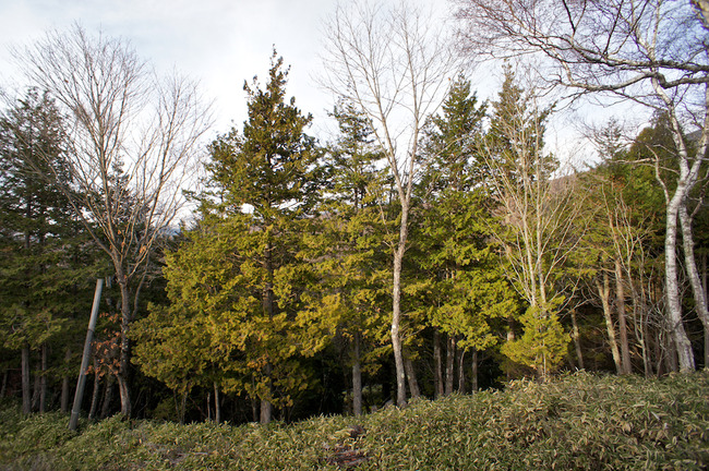 DSC02784