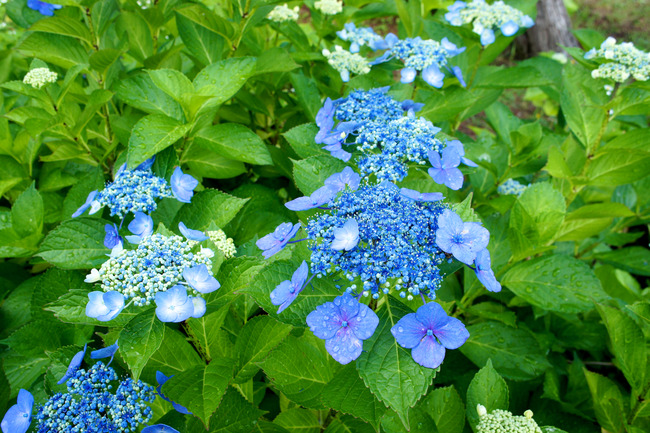 20170723_15-34-48_DSC07997