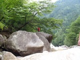 IMAGE002