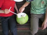 椰子の実