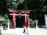 弥彦神社鳥居