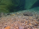 IMAGE000