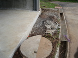 650f9124.jpg