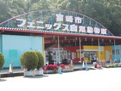 DSCN2041