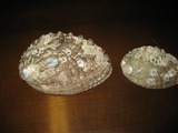 10-08-09_00