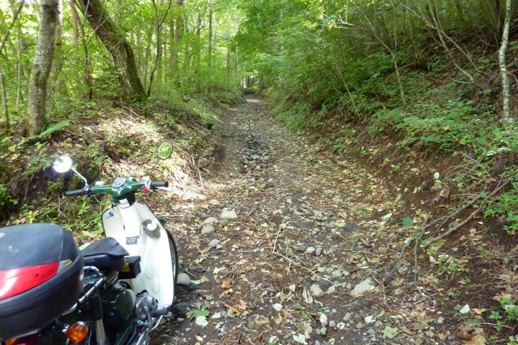 ツーリング 大平山林道 スーパーカブでｶﾞｰっと行く