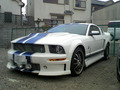 BlogPaint