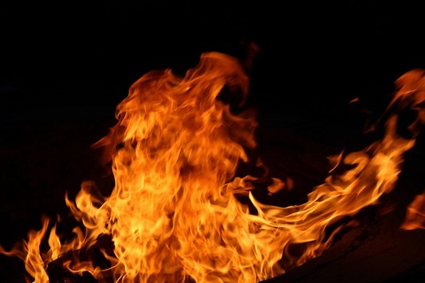 lola-hipp-WuQdmEZo-ek-unsplash