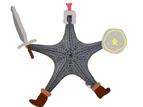 starfish-281734_1920-removebg-preview