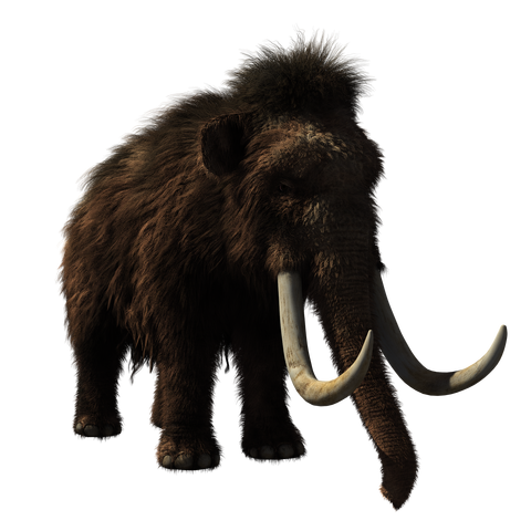 woolly-mammoth-2722882_1920