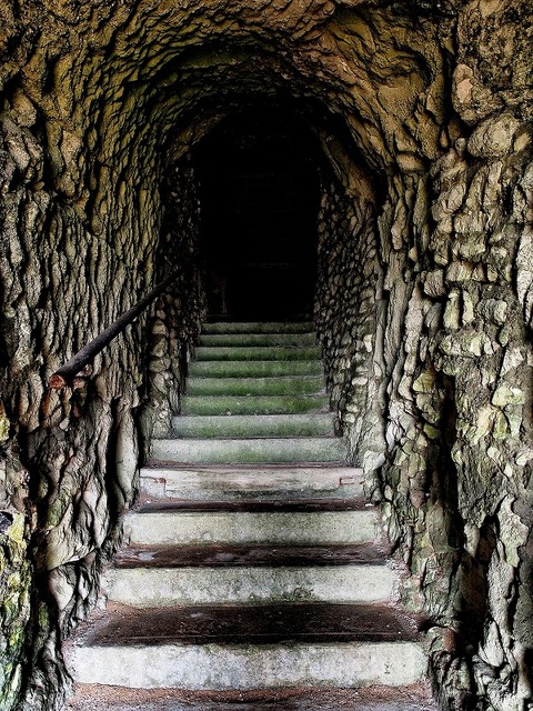 tunnel-1756856_1920