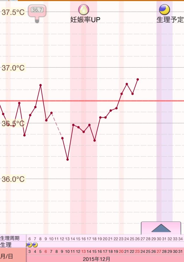 D26 高温期7日目 クリスマスデート 田舎主婦のわくわく妊婦生活