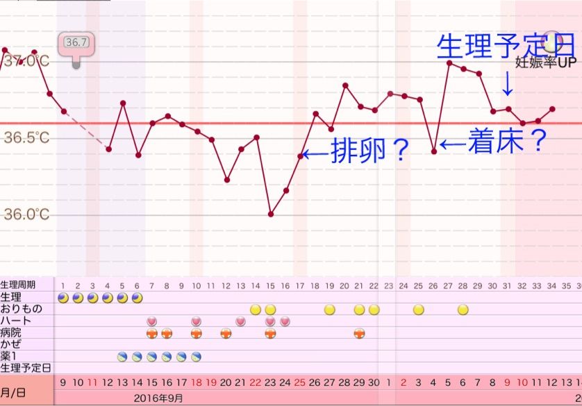 高温期6日目 妊娠した周期