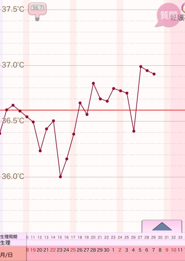 妊娠した時 高温期12日目