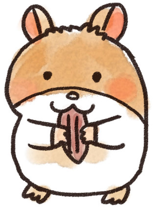 bandicam 2019-01-05 15-27-00-207