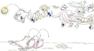 images (1)