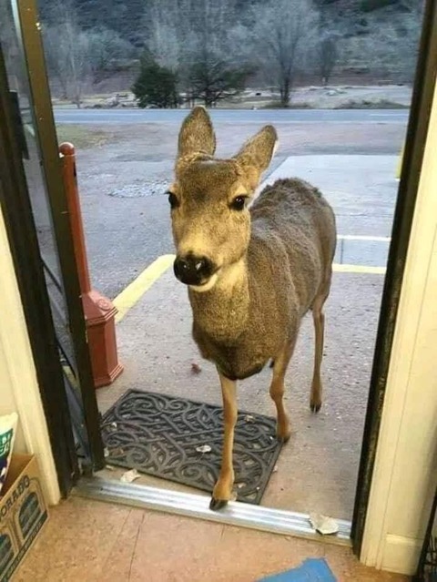 no title