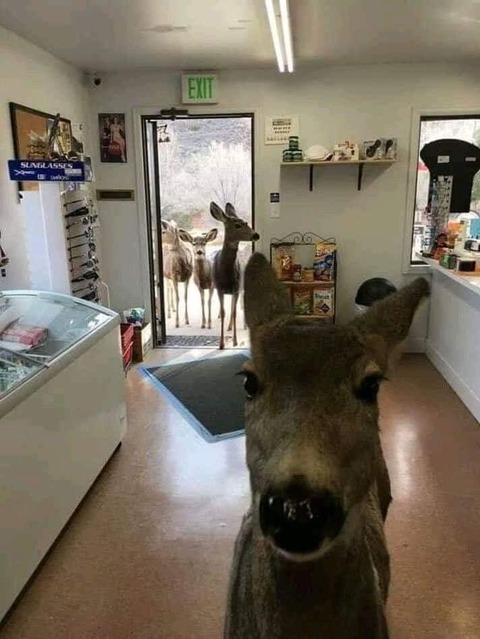 no title