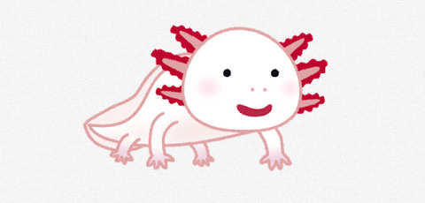 bandicam 2019-08-06 10-31-39-318