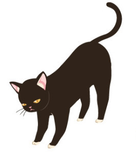 bandicam 2019-01-27 16-15-31-667