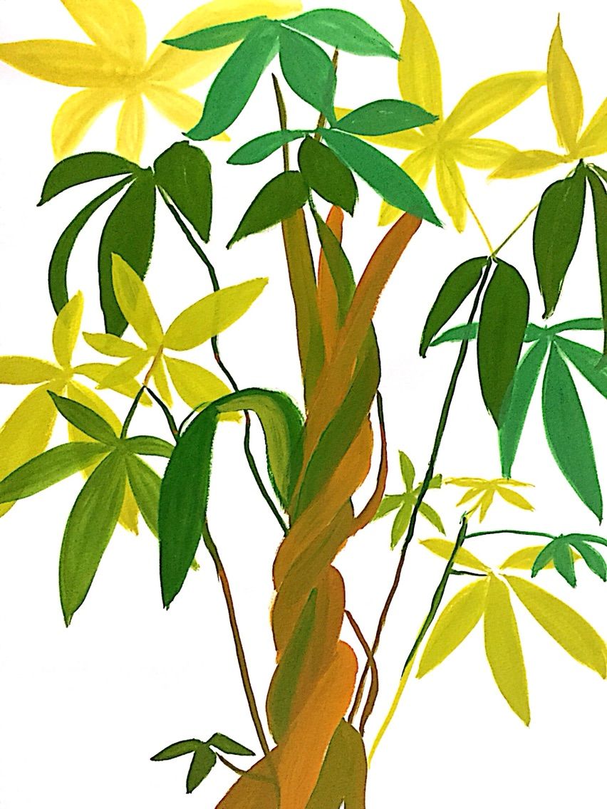 観葉植物のpainting ふしきなイラスト見聞録
