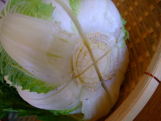 白菜に切れ込み