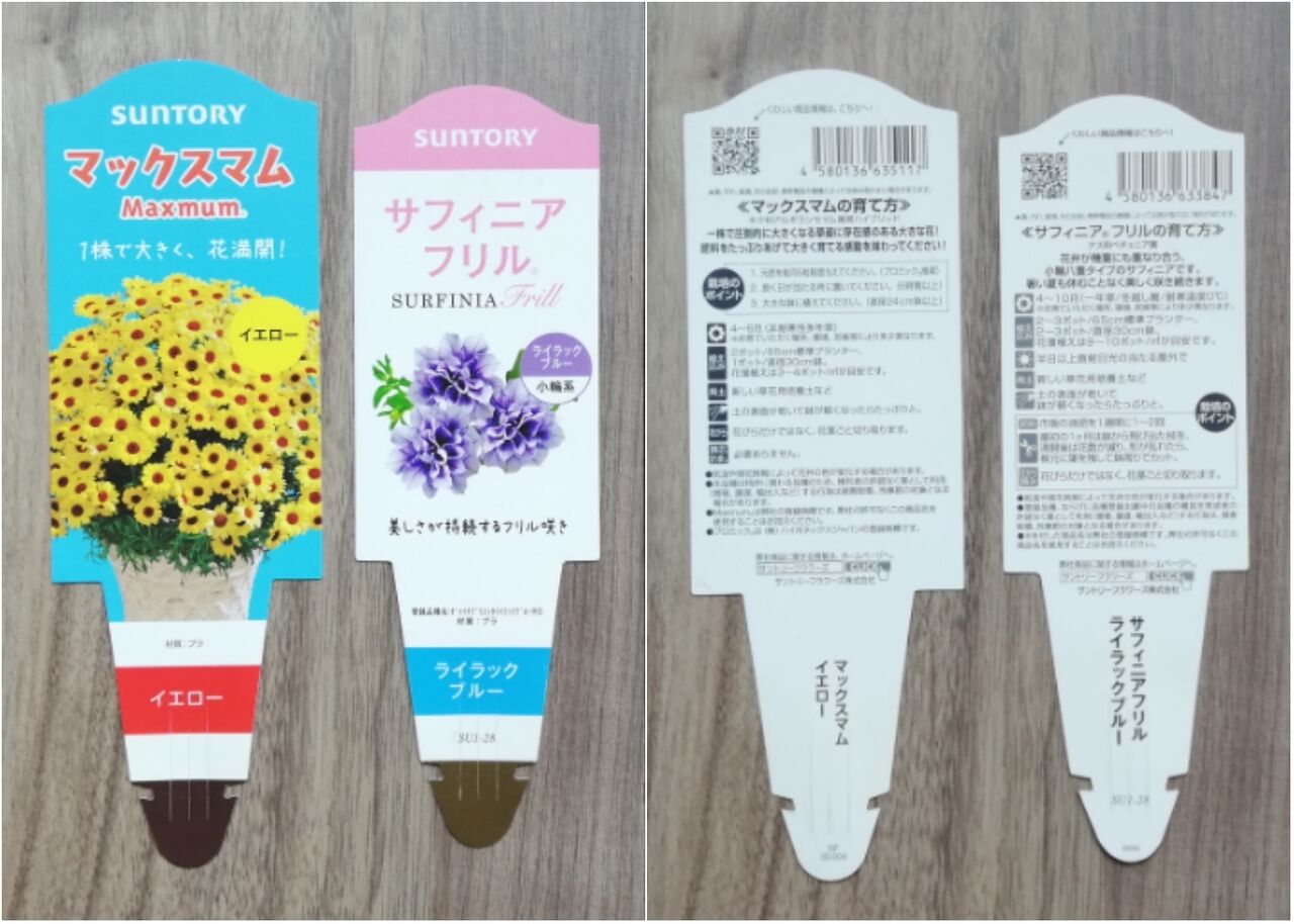 小さな庭づくり 鉢植えで気分上々 マックスマム サフィニアフリル初購入しました 素敵さがし