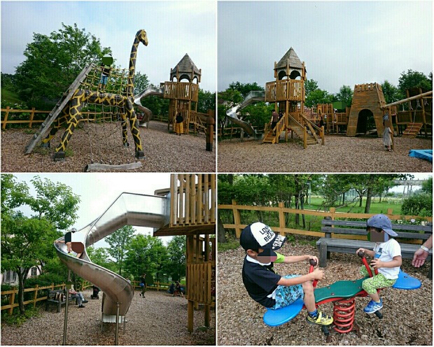 PhotoGrid_1532073122653