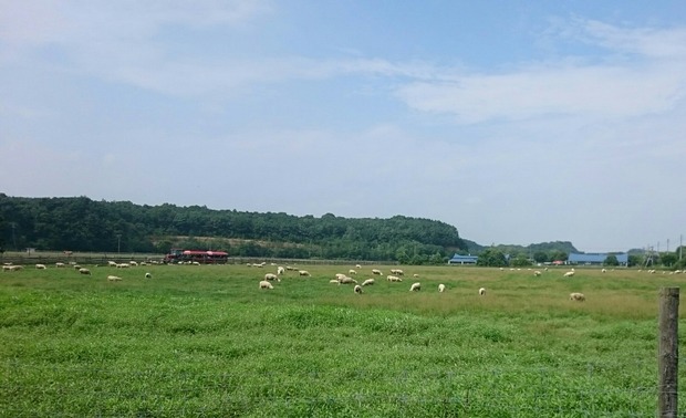 _20180717_130821