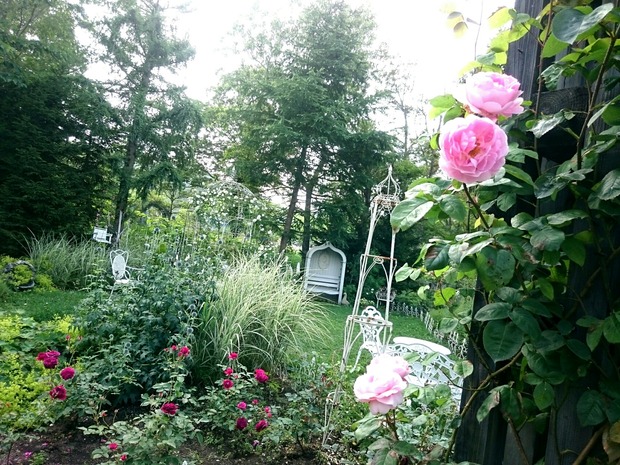 _20180720_164306