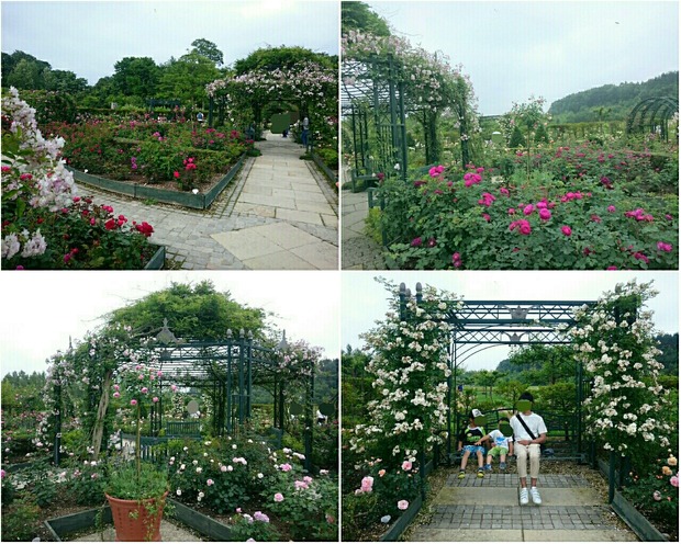 PhotoGrid_1532073686381