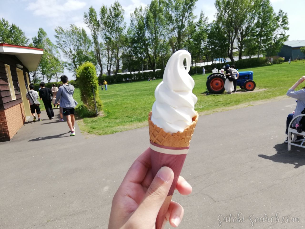 小さな庭づくり 初めてのネモフィラ 植え付けから種採取まで 素敵さがし 小さな庭づくり 初めてのネモフィラ 植え付けから種採取まで 素敵さがし