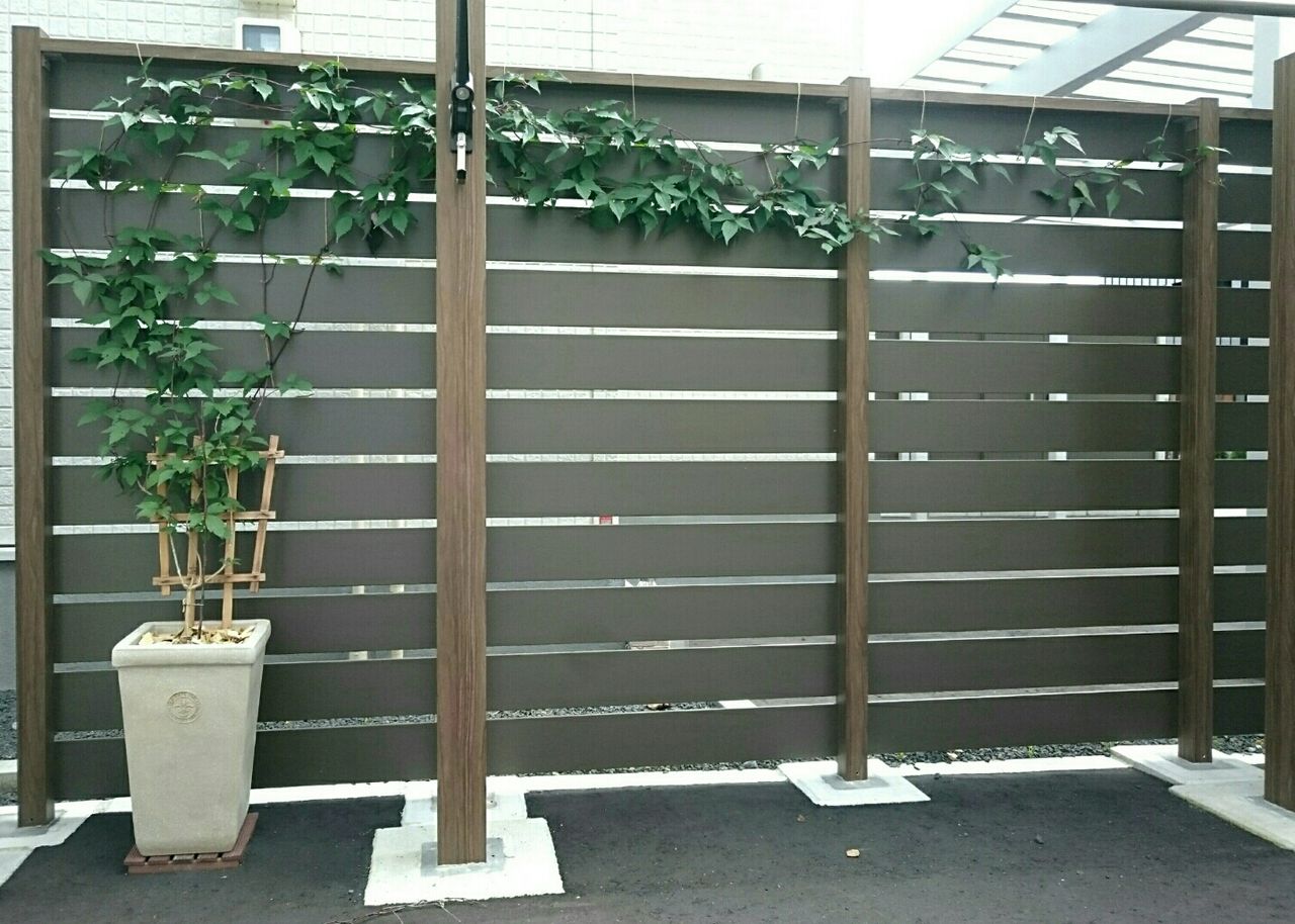 クレマチス ルーベンス 生育記録 我が家の誘引事情 つるは順調 来春の開花に期待 素敵さがし クレマチス ルーベンス 生育記録 我が家の誘引事情 つるは順調 来春の開花に期待 素敵さがし