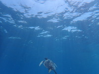 P7011012