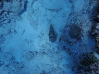 P7011077