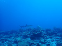 P7010995