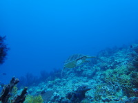 P7011040