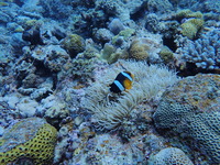 P7011021