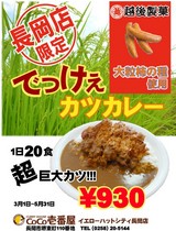 �Ǥä������ĥ��졼