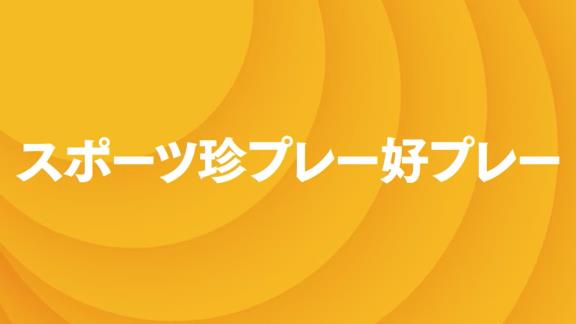 5月3日放送　緊急生中継！中居正広のスポーツ珍プレー好プレー