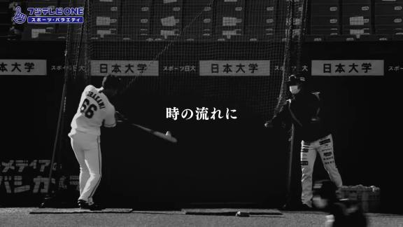 2021年『プロ野球12球団合同トライアウト』、12月8日(水)に生中継へ