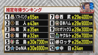 2軍 プロ野球 最低年俸 ベンチでも1日数万円？ 若手野球選手の前にぶら下がる