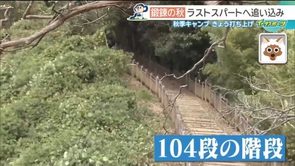 中日ドラゴンズ高知秋季キャンプでの階段ダッシュにコーチ陣も参加すると…【動画】