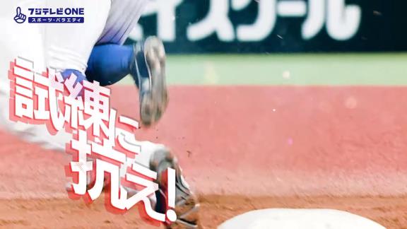 2022年『プロ野球12球団合同トライアウト』のテレビ・ネット中継情報が判明する