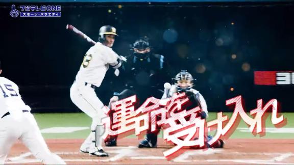 11月8日放送　2022年 プロ野球12球団合同トライアウト【テレビ・ネット中継情報】