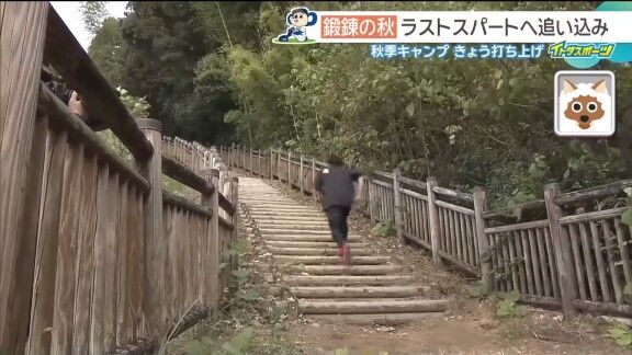 中日ドラゴンズ高知秋季キャンプでの階段ダッシュにコーチ陣も参加すると…【動画】