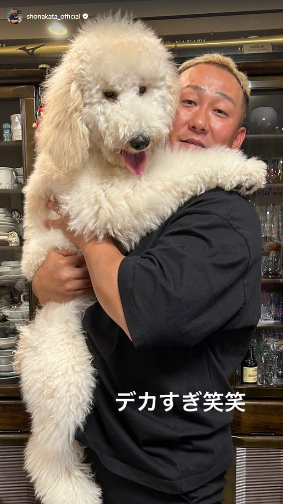 中日・中田翔「デカすぎ笑笑」