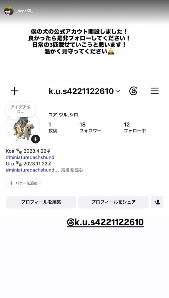 中日・知野直人「僕の犬の公式アカウント開設しました！」